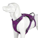 Escape-proof Harness
