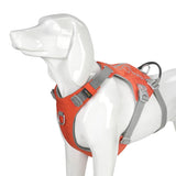 Escape-proof Harness
