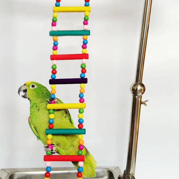 Colorful Hanging Cage Climbing Ladders