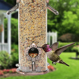 Stainless Steel Bird Feeder