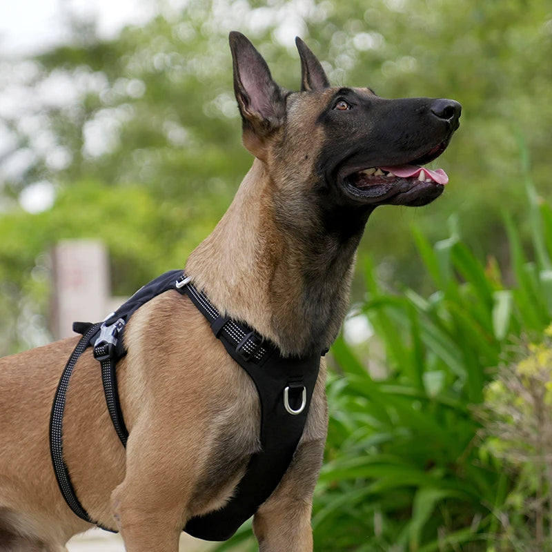 Escape-proof Harness