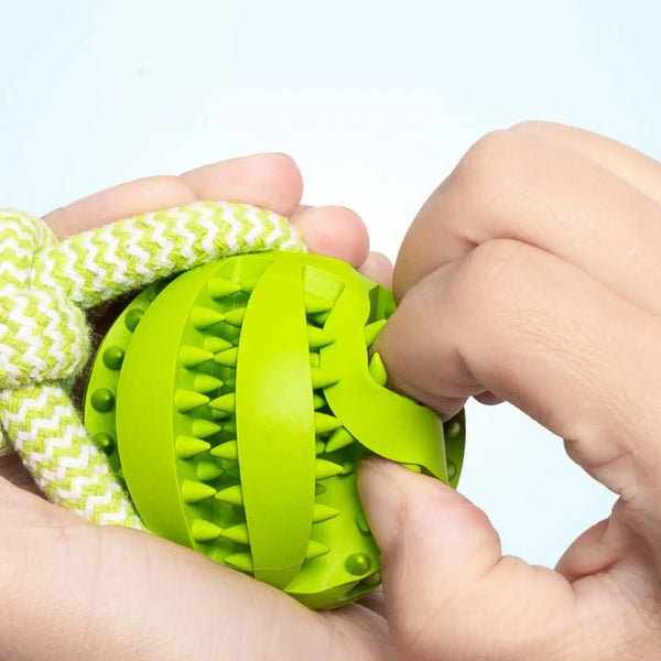 Interactive Dog Toys Balls
