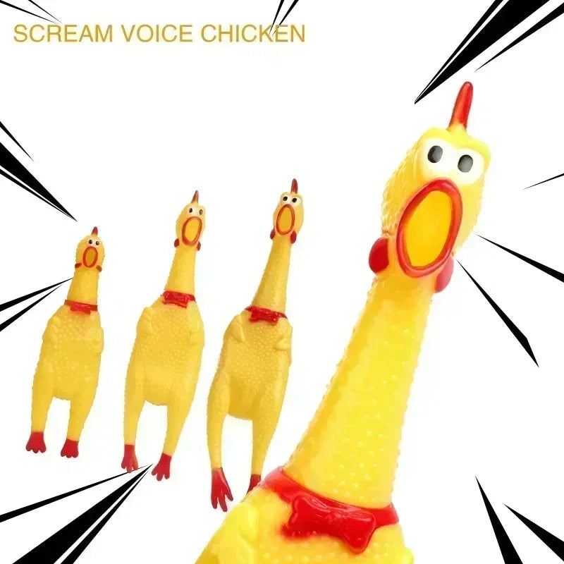 Pet Dog Squeak Toy: The Screaming Chicken