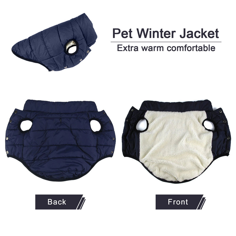 Winter Dog Clothes