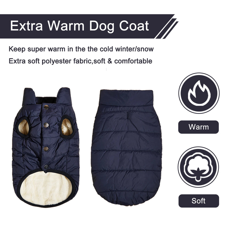 Winter Dog Clothes