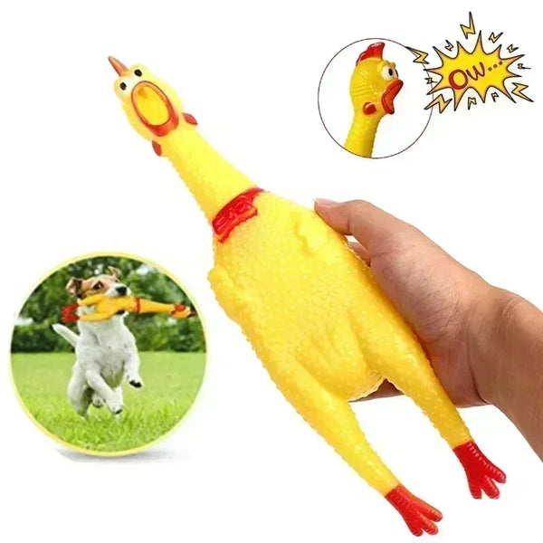 Pet Dog Squeak Toy: The Screaming Chicken