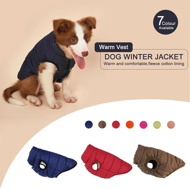 Winter Dog Clothes