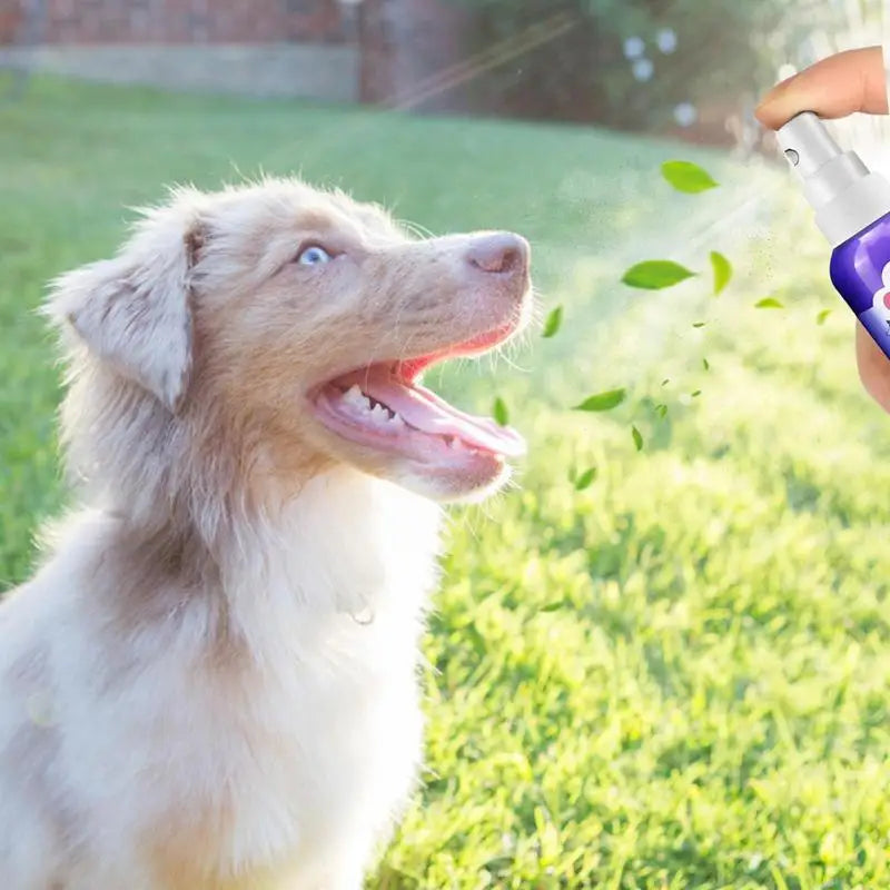 Breath Spray For Dogs