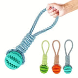 Interactive Dog Toys Balls