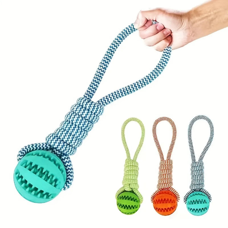 Interactive Dog Toys Balls