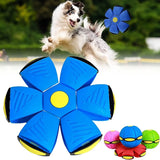 Futurism Saucer Ball Dog Toys