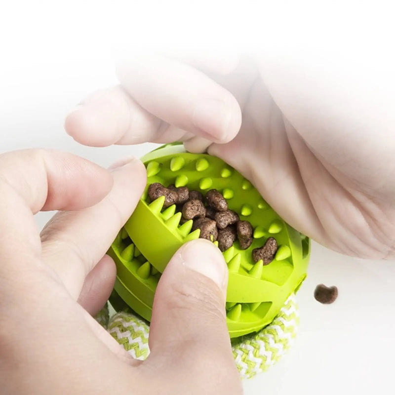 Interactive Dog Toys Balls