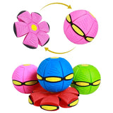 Futurism Saucer Ball Dog Toys